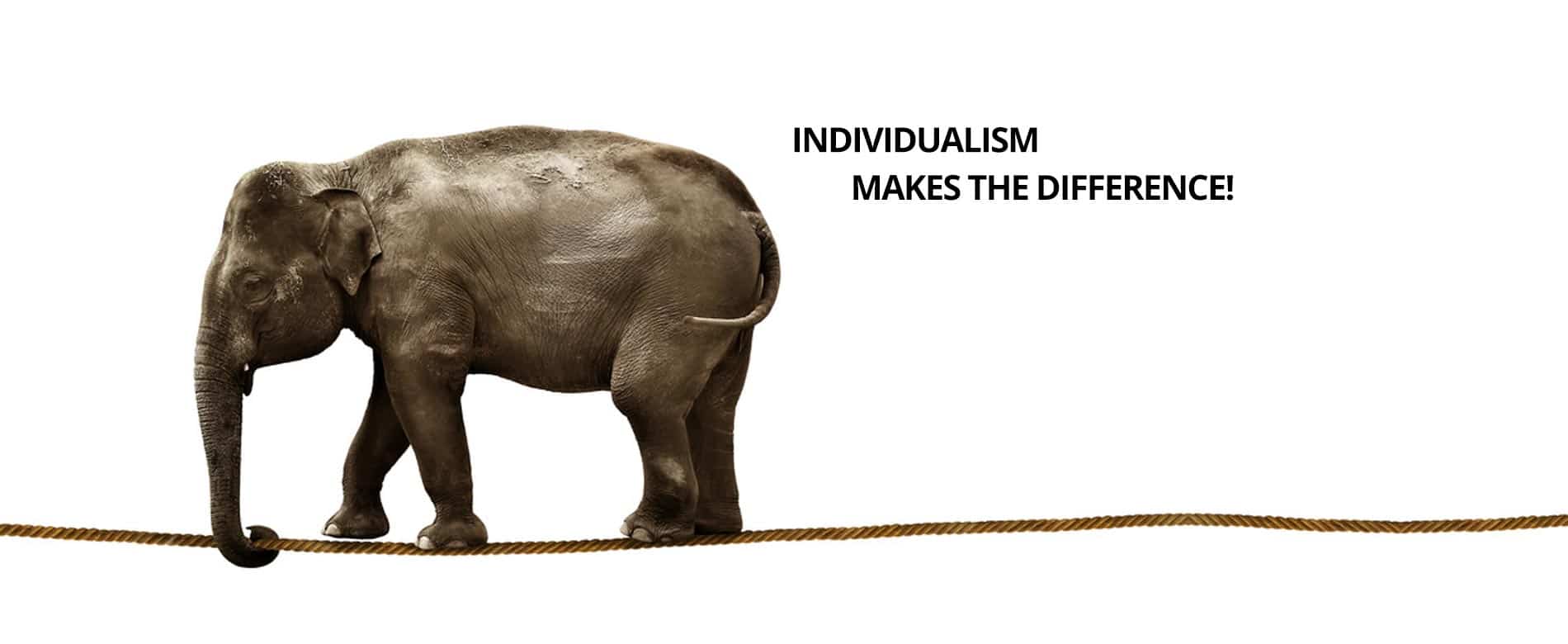 POSCHENRIEDER EXECUTIVE SEARCH AND MANAGEMENT CONSULTING